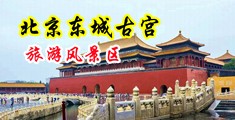 性感黑丝美女流白浆中国北京-东城古宫旅游风景区